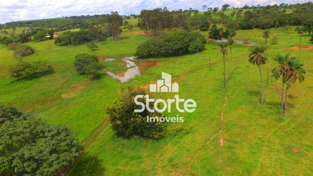 Fazenda, 218 hectares - Foto 3