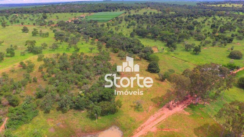 Fazenda, 218 hectares - Foto 1