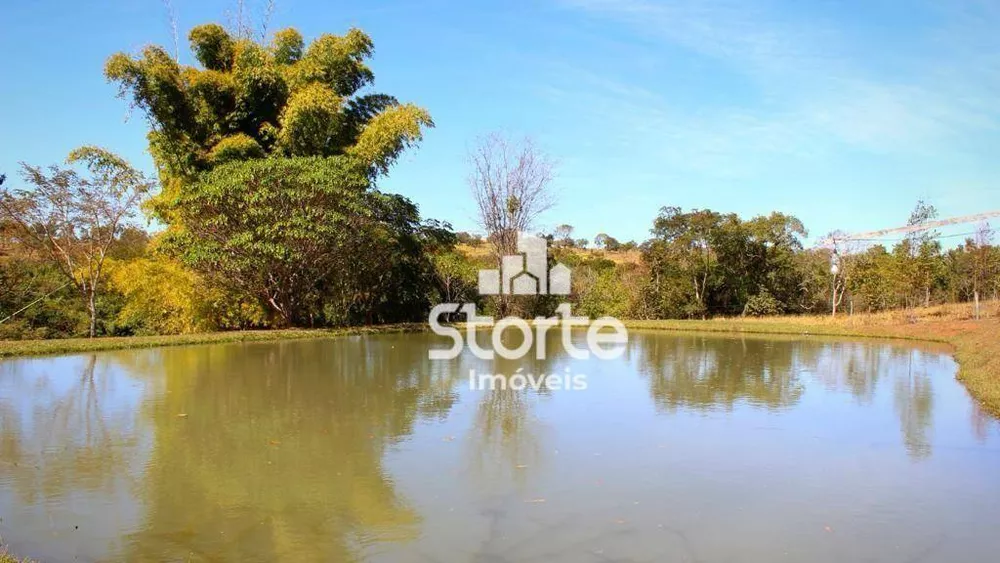 Fazenda, 29 hectares - Foto 30