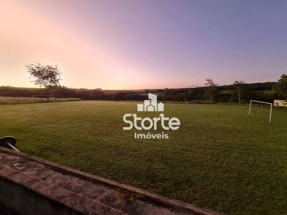 Fazenda, 29 hectares - Foto 12