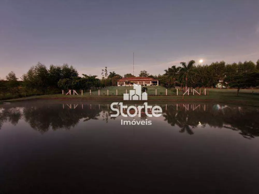 Fazenda, 29 hectares - Foto 10