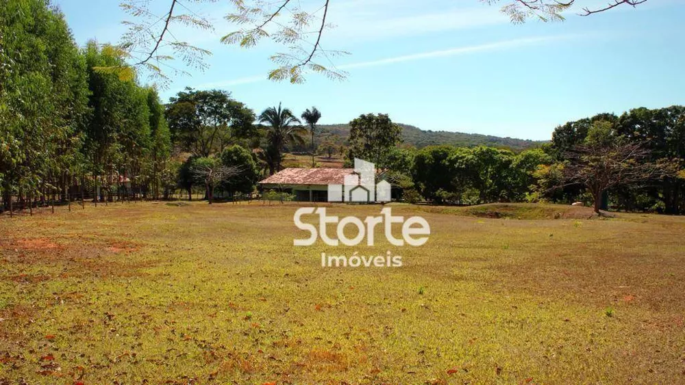 Fazenda, 29 hectares - Foto 32