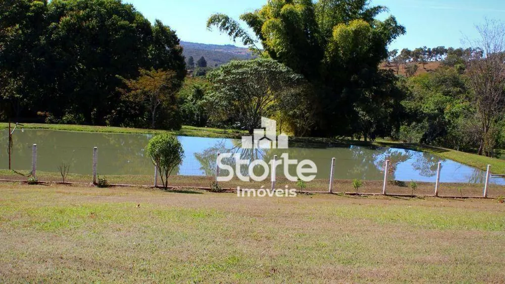 Fazenda, 29 hectares - Foto 24