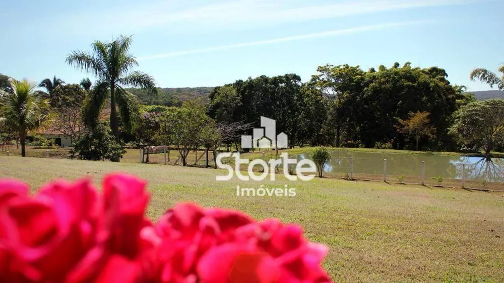 Fazenda, 29 hectares - Foto 36