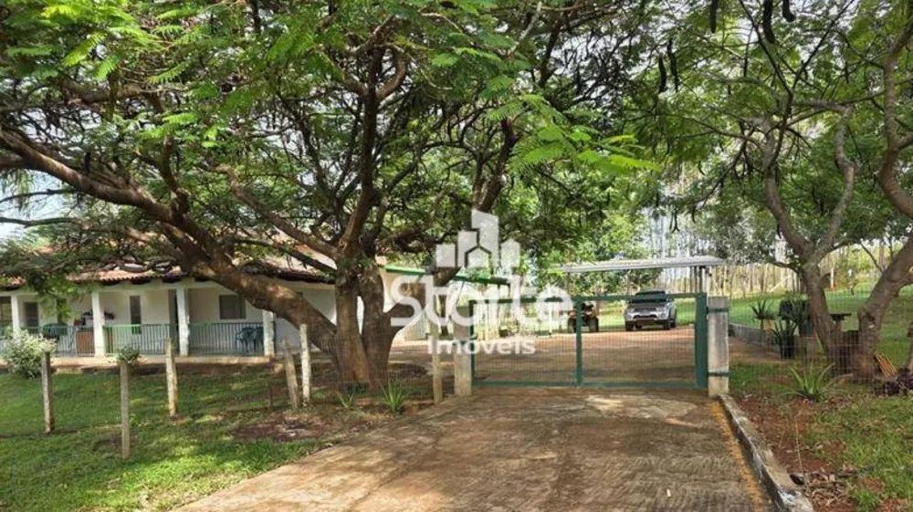 Fazenda, 29 hectares - Foto 15