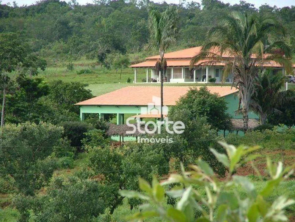 Fazenda, 29 hectares - Foto 6