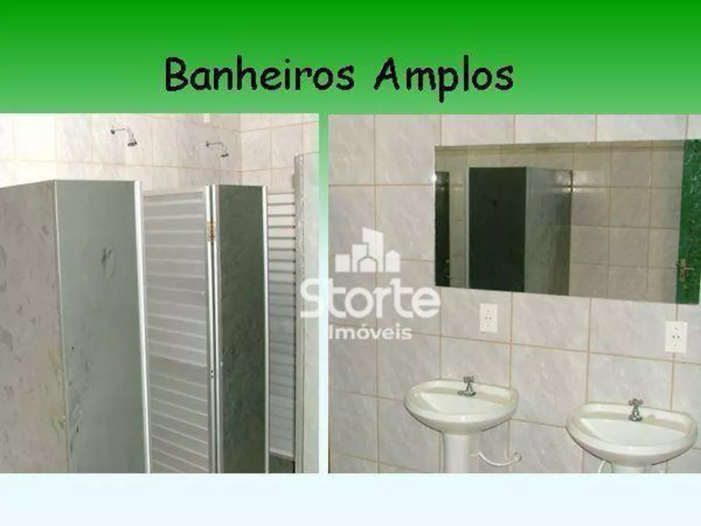 Fazenda, 29 hectares - Foto 28