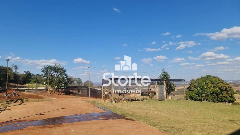 Chácara, 3 quartos, 2 hectares - Foto 9