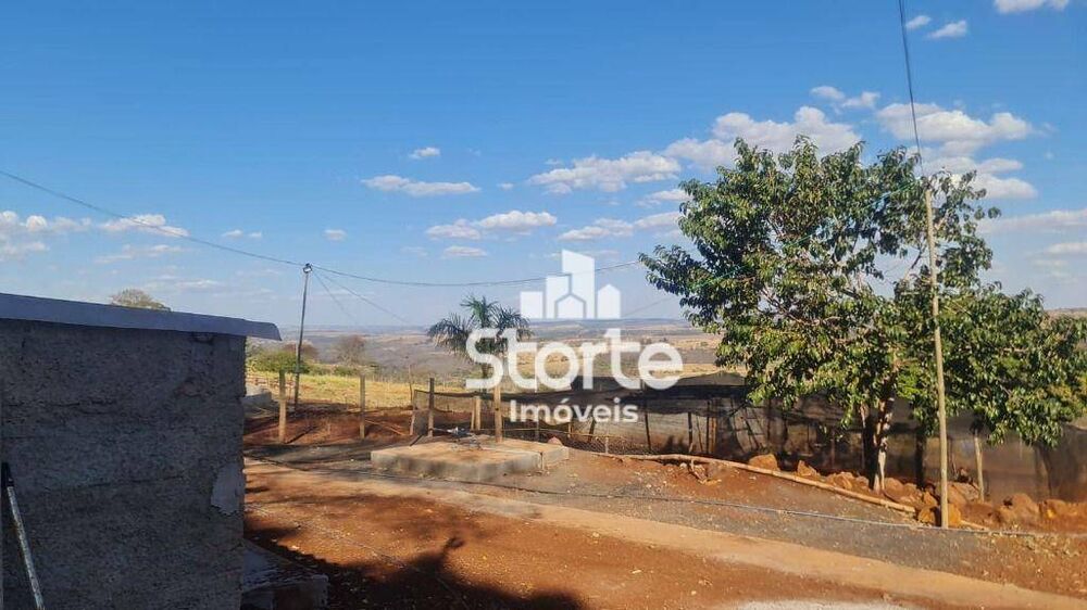 Chácara, 3 quartos, 2 hectares - Foto 14