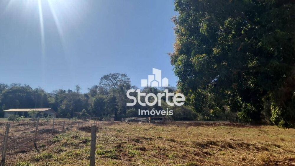 Chácara, 3 quartos, 2 hectares - Foto 16