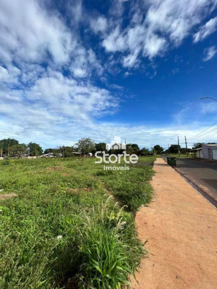 Chácara, 1000 m² - Foto 4