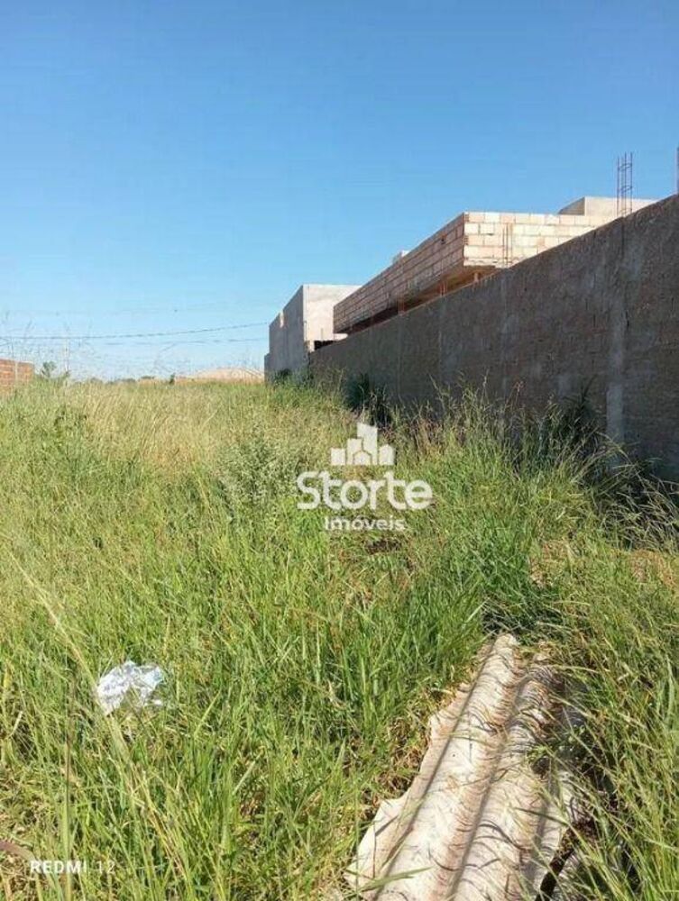 Terreno, 250 m² - Foto 3