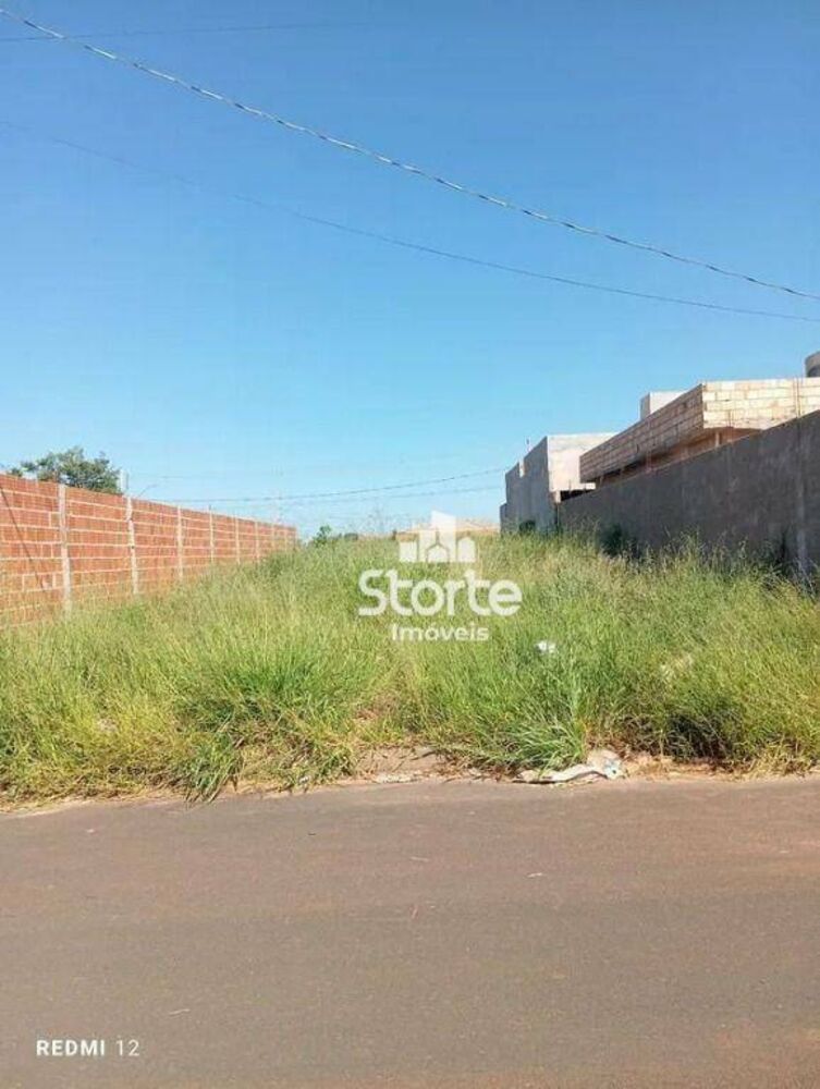 Terreno, 250 m² - Foto 1