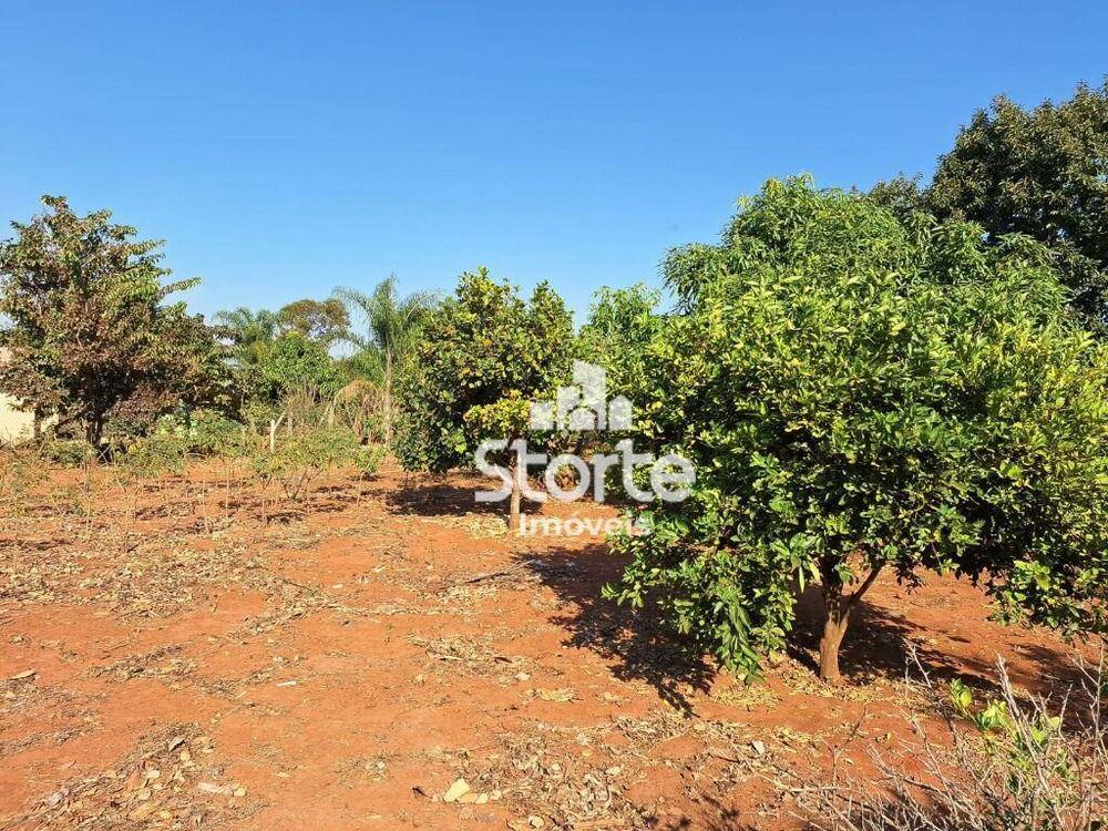 Chácara, 3 quartos, 3400 m² - Foto 15