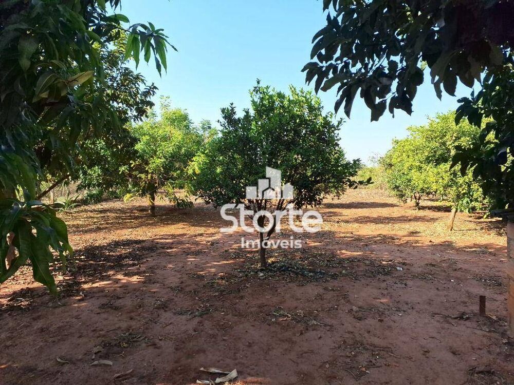 Chácara, 3 quartos, 3400 m² - Foto 8
