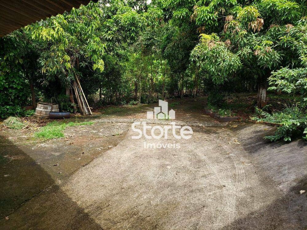 Sítio, 3 quartos, 2700 m² - Foto 3