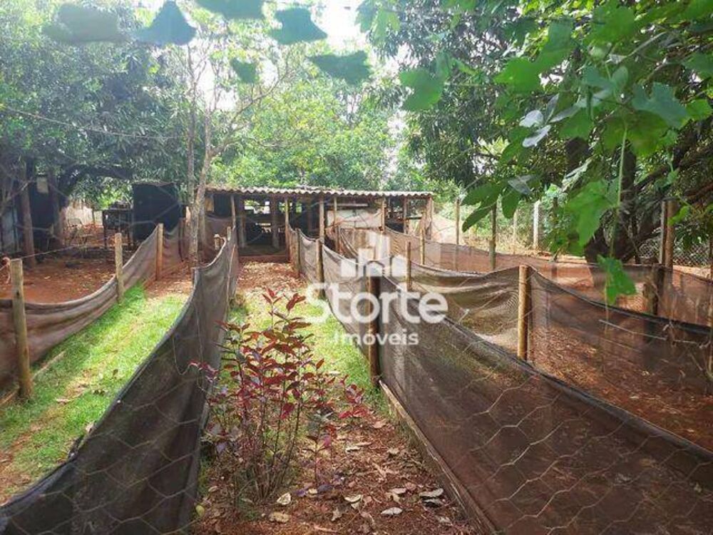 Chácara, 2 quartos, 5400 m² - Foto 1