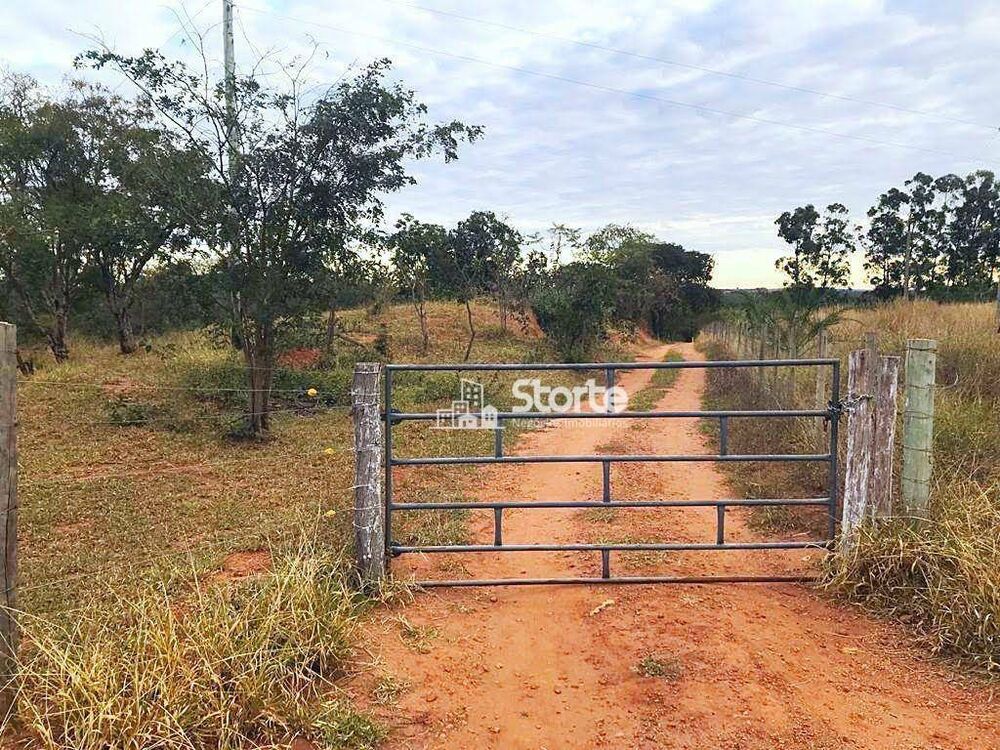 Chácara, 2 quartos, 1 hectares - Foto 4