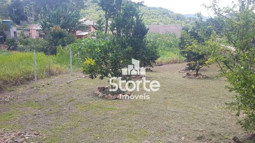 Chácara, 1000 m² - Foto 3
