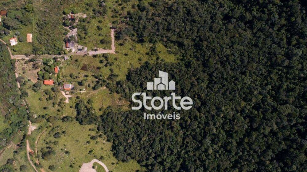 Fazenda, 19 hectares - Foto 7