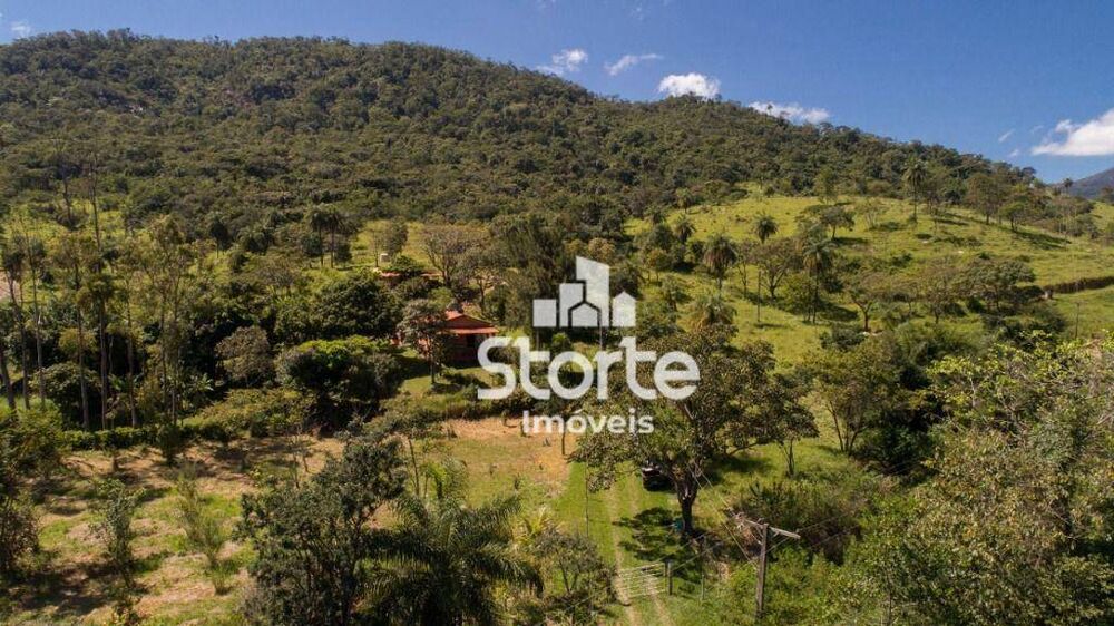 Fazenda, 19 hectares - Foto 4