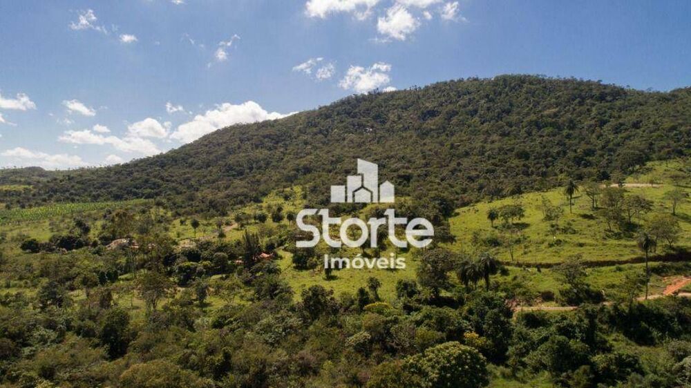 Fazenda, 19 hectares - Foto 10