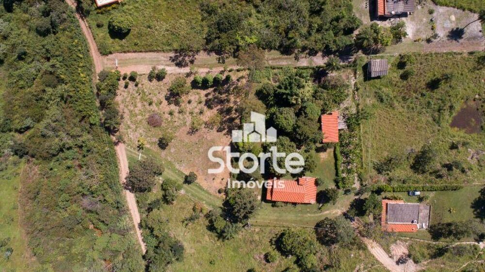 Fazenda, 19 hectares - Foto 11