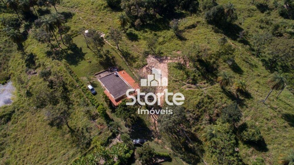 Fazenda, 19 hectares - Foto 8