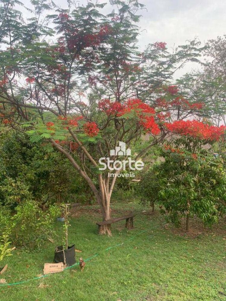 Chácara, 3 quartos, 1000 m² - Foto 6