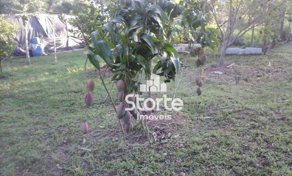 Chácara, 3 quartos, 1000 m² - Foto 7