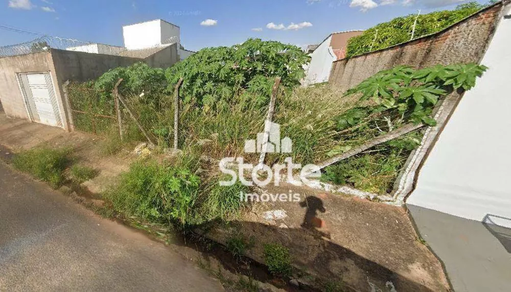 Terreno, 250 m² - Foto 1
