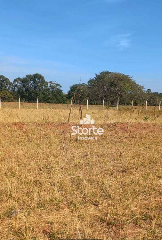 Chácara, 1000 m² - Foto 3