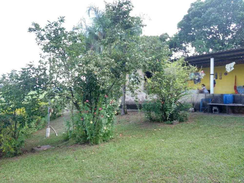 Chácara, 5 quartos, 2520 m² - Foto 8