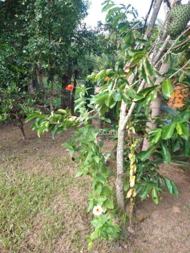 Chácara, 5 quartos, 2520 m² - Foto 24