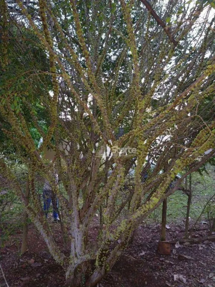 Chácara, 5 quartos, 2520 m² - Foto 27