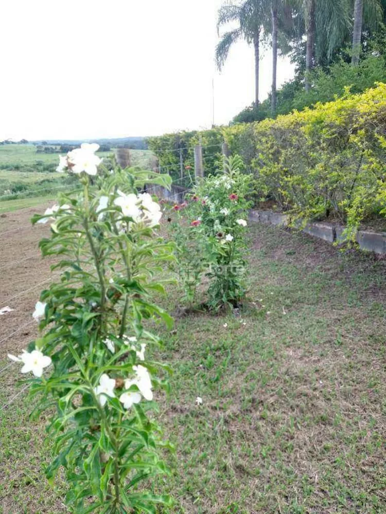 Chácara, 5 quartos, 2520 m² - Foto 21