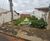 Terreno, 250 m² - Foto 1
