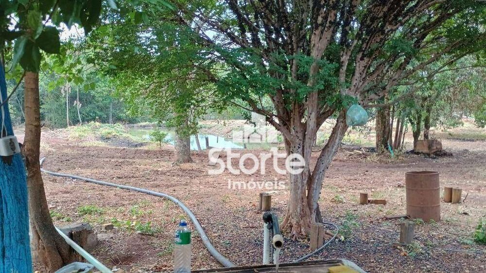 Chácara, 2 hectares - Foto 15