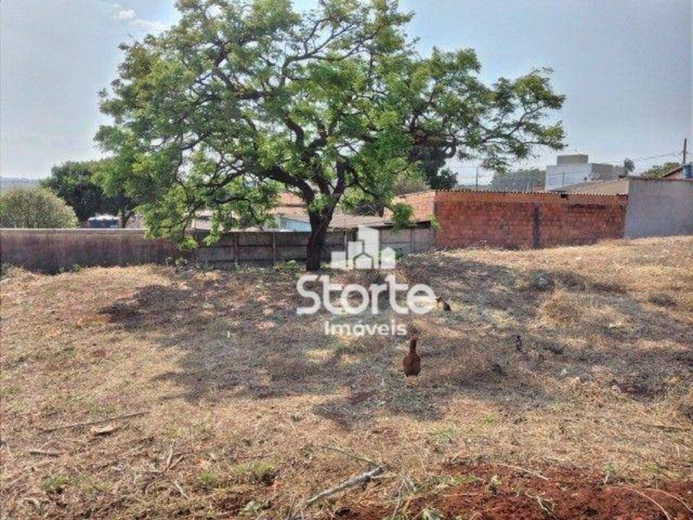 Terreno, 300 m² - Foto 2