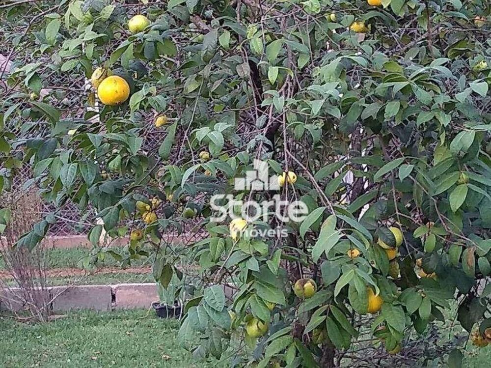 Chácara à venda com 2 quartos, 600m² - Foto 4