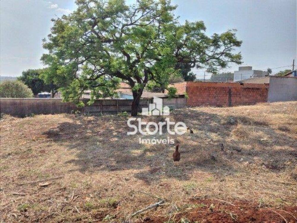 Terreno, 288 m² - Foto 2