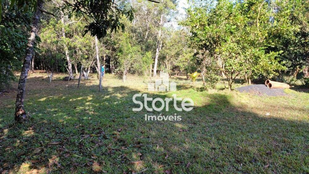 Chácara à venda com 2 quartos, 10000M2 - Foto 8
