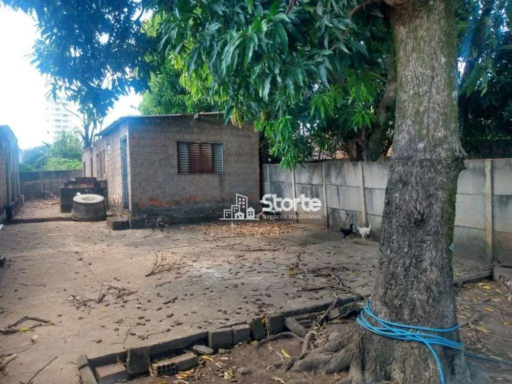 Casa, 4 quartos, 200 m² - Foto 10