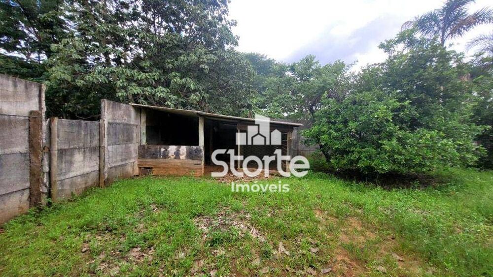 Chácara, 3 quartos, 5000 m² - Foto 3