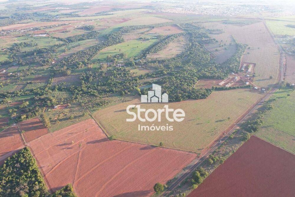 Fazenda, 280 hectares - Foto 4