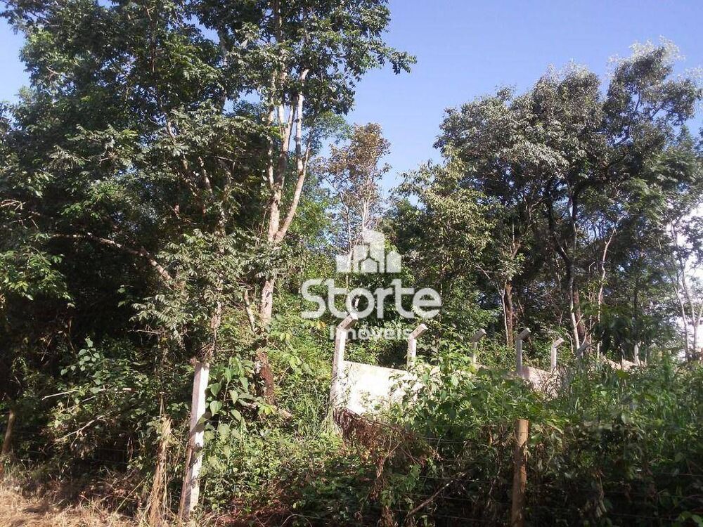 Chácara, 1000 m² - Foto 4