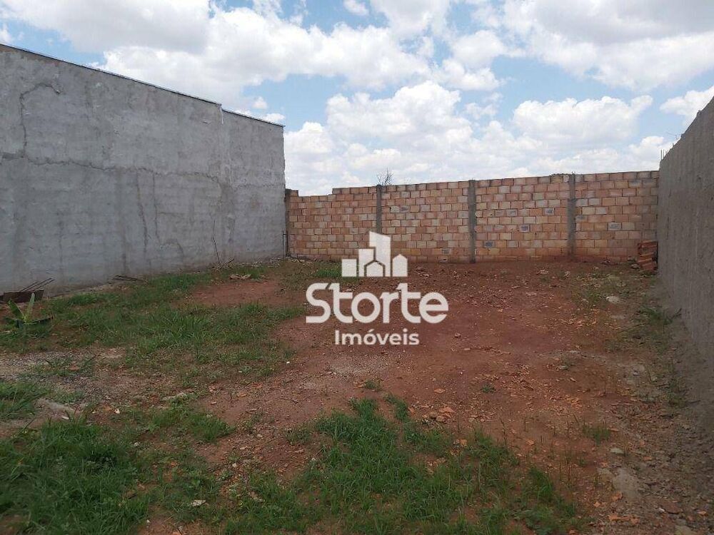 Chácara à venda com 2 quartos, 300M2 - Foto 4
