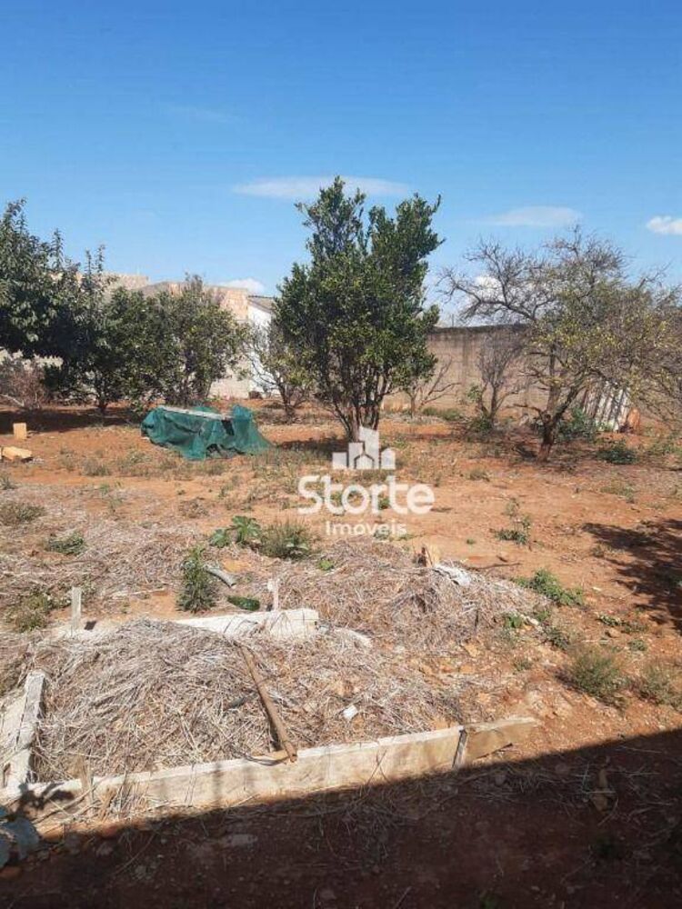 Terreno, 618 m² - Foto 8