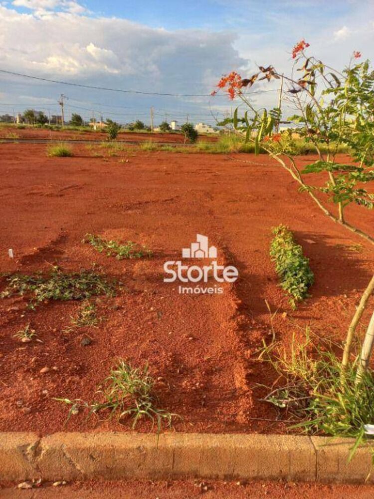 Terreno, 300 m² - Foto 1