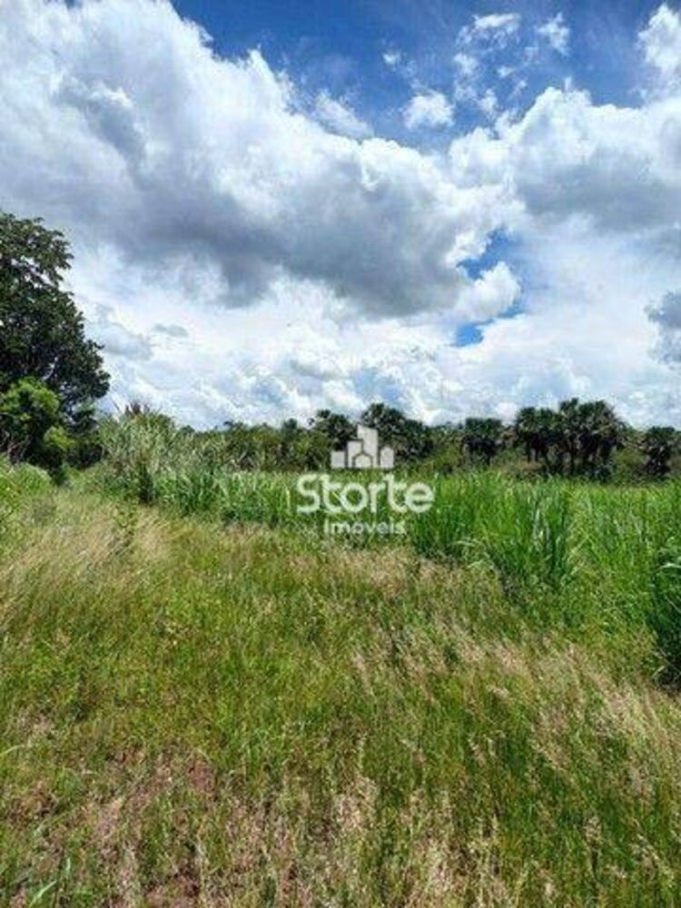 Sítio, 3 quartos, 12 hectares - Foto 3